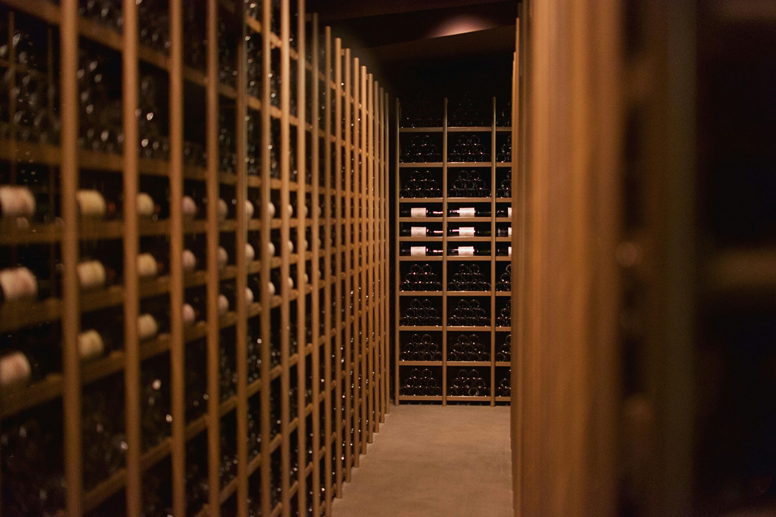Turning a Root Cellar into a Modern Wine or Cold Storage Room